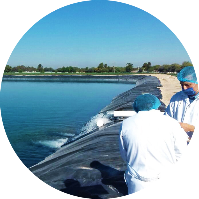 TOMA Y RECOLECCIÓN DE MUESTRAS